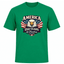 America 250 Years of Freedom Patriotic Eagle T-Shirt | USA 250th Anniversary 1776–2026 Graphic Tee image 9