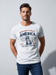 United States of America 250 Years of Freedom T-Shirt | Statue of Liberty USA 250th Anniversary 1776–2026 Patriotic Graphic Tee image 0